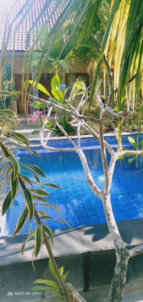 Belong Home Stay Lembongan Exterior photo